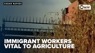 Immigration enforcement could impact agriculture industry