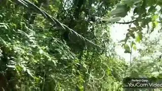 Impact...!!!!... Finally electricity dept act.