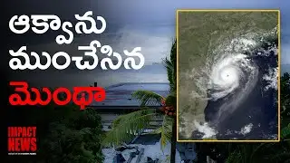 IMPACT NEWS : Cyclone Montha Impact: Andhra Coast Faces Massive Loss