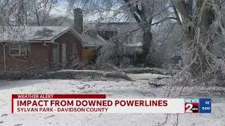 Impact of downed power lines in Sylvan Park