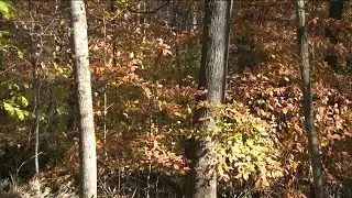 Important changes this season Virginia hunters need to know