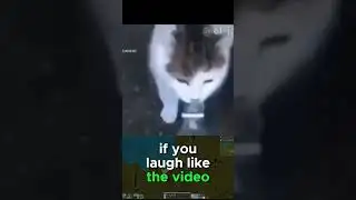 IMPORTANT NEWS! #funny #factorio #memes