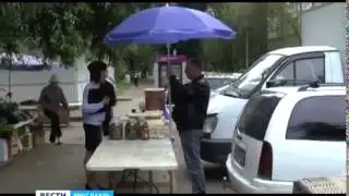 In Yaroslavl began the hunt for traffickers of illegal