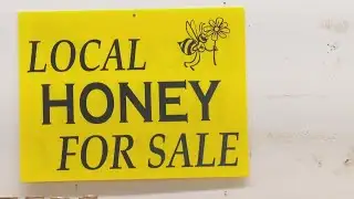 In Your Backyard | The 