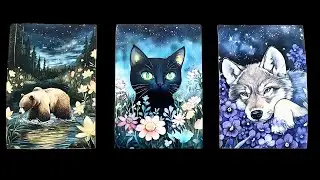 Incoming Good News   Pick A Card Tarot Reading