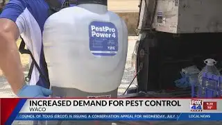 Increased Demand for Pest Control