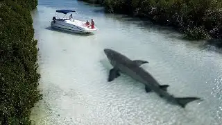 Incredible Moments Caught on Camera