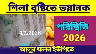 আজকের আলুর দাম India potato news West Bengal
