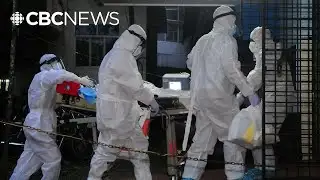 India reports 2 cases of deadly Nipah virus