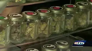 Indiana lawmakers introduce new bills around legalizing marijuana