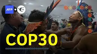 Indigenous protesters clash with security at COP30