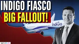 Indigo Chaos: Indigo Appoints External Aviation Expert To Analyse Root Cause