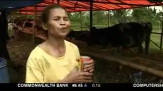 Indonesian volcano clean-up begins