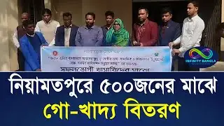 নিয়ামতপুরে ৫০০জনের মাঝে গো-খাদ্য বিতরণ | Infinity Bangla