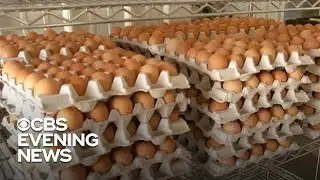Inflation and deadly bird flu drive up egg prices