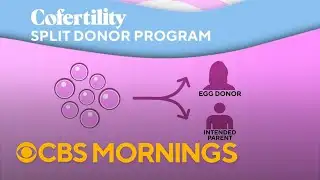 Innovative program offers free egg freezing for egg donations