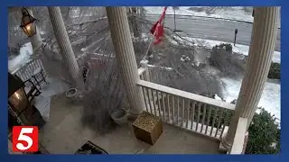 Insane doorbell camera captures ice storm devastating tree canopy as residents rally together
