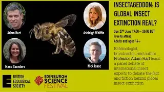 Insectageddon: is global insect extinction real?