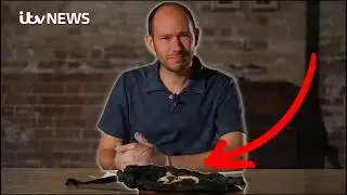 Inside the growing trade in human remains | ITV News