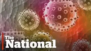 Inside the labs trying to get a handle on Zika