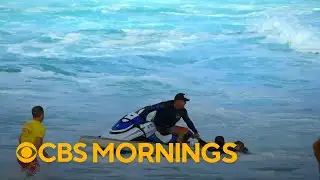 Inside the world of Hawaii