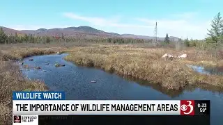 Inside Vermont’s largest wildlife management area