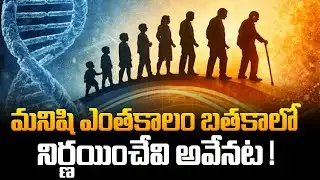 మనిషి ఎంతకాలం బతకాలో నిర్ణయించేవి అవేనట !| Interesting Facts about human lifespan | Tupaki TV