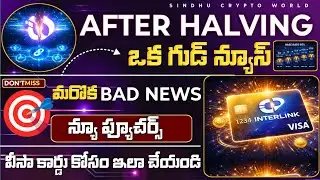 🌹Interlink After Halving New Features Update | Latest Interlink News