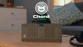 Introducing the Chordcat 8-track groovebox