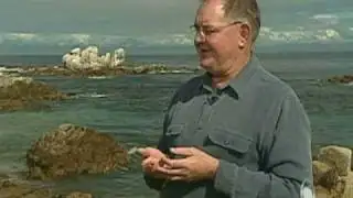 Invasion Of The Squids!