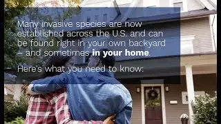 Invasive Species News Video