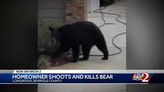 Investigation ongoing after homeowner shoots, kills bear