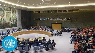 Iran - Security Council, 10091st meeting | United Nations