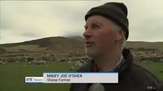 IRISH FARMER