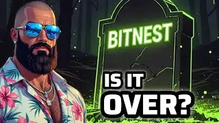 Is BitNest Really Dead? + More Defi Updates! (Live from Mexico City)