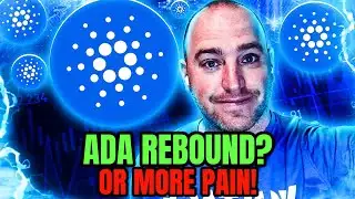 Is Cardano About To Explode or Crash Further!?