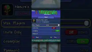 Is Cross Play Coming To Terraria?