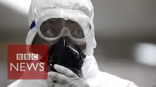 Is Ebola virus a global emergency? BBC News