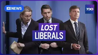Is history repeating itself for the Liberal Party? | 7.30