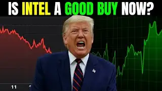 Is Intel Stock $INTC A Good Investment After It Crashed?!?