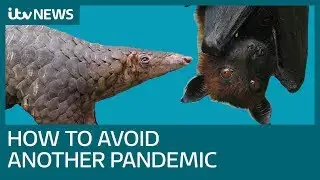 Is it possible to avoid a future pandemic? | ITV News