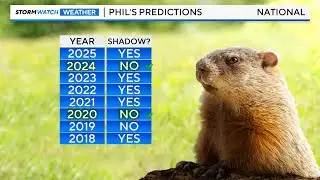 Is Phil Full of It?! Nevada vs Nationwide