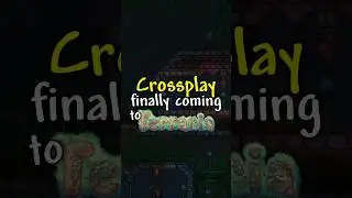 Is Terraria finally getting Crossplay?