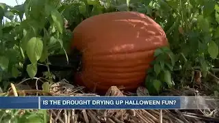 Is the drought drying up Halloween fun?