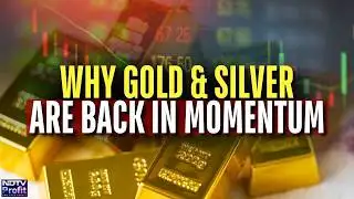 Is the Gold & Silver Comeback Sustainable From Here?