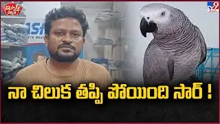 iSmart News: My parrot is missing, sir! | Parrot - TV9
