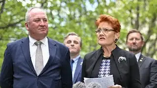 ‘It doesn’t have to be me’: Hanson discusses who will run for a lower house seat