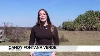 ‘It’s freeing’: All-terrain wheelchairs make the outdoors accessible