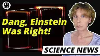 It Took Physicists 50 Years To Prove Einstein Right About This