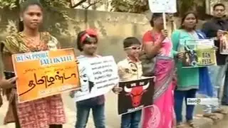 Jallikattu row: Protest wave spreads to Mumbai, Vadodara